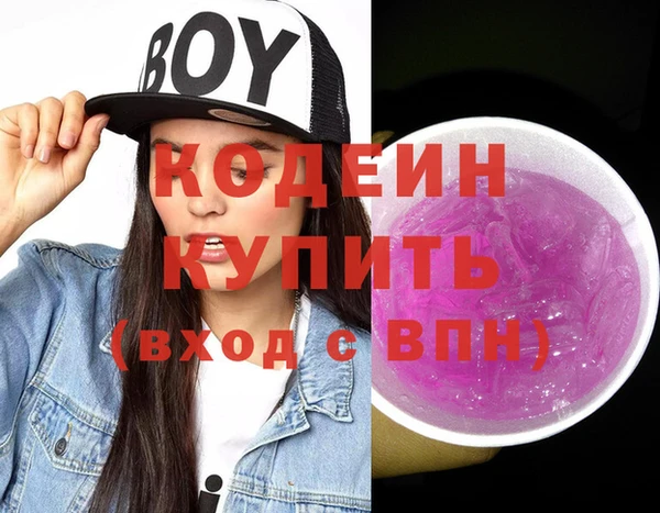 спиды Няндома
