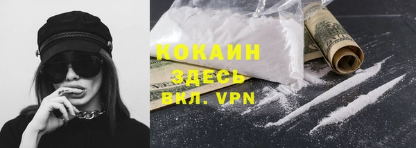 шишки Осинники