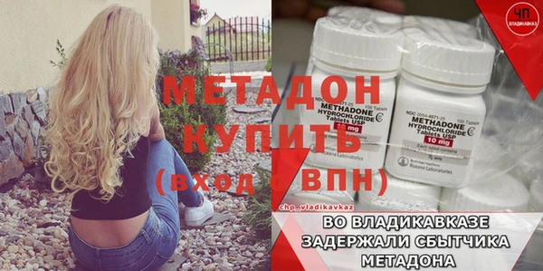 шишки Щигры