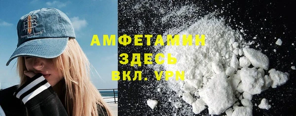 шишки Осинники