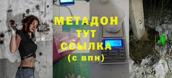 шишки Осинники