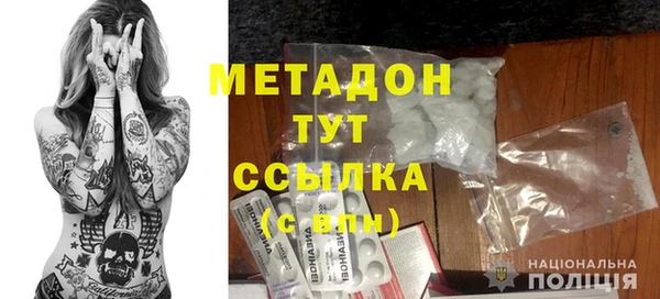 шишки Осинники