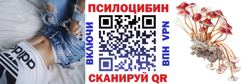 Галлюциногенные грибы MAGIC MUSHROOMS  Хадыженск 